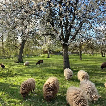 Gutshaus - Gut Bed and Breakfast *