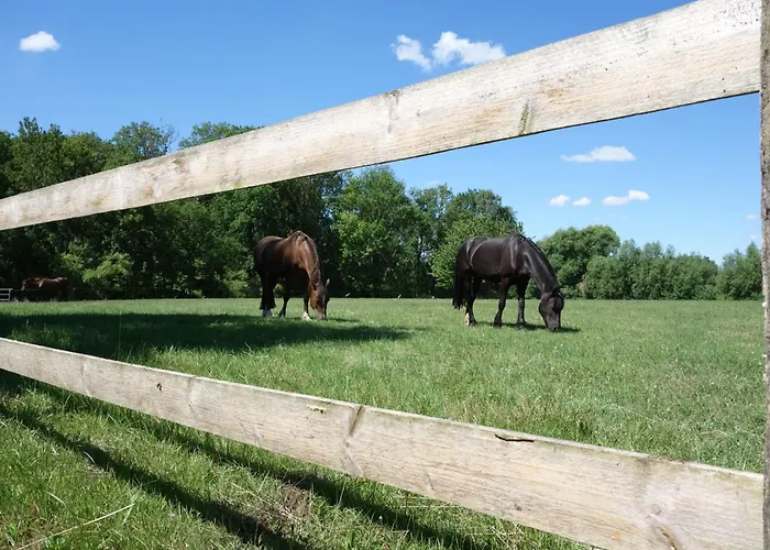 Frühstückspension Gutshaus - Gut